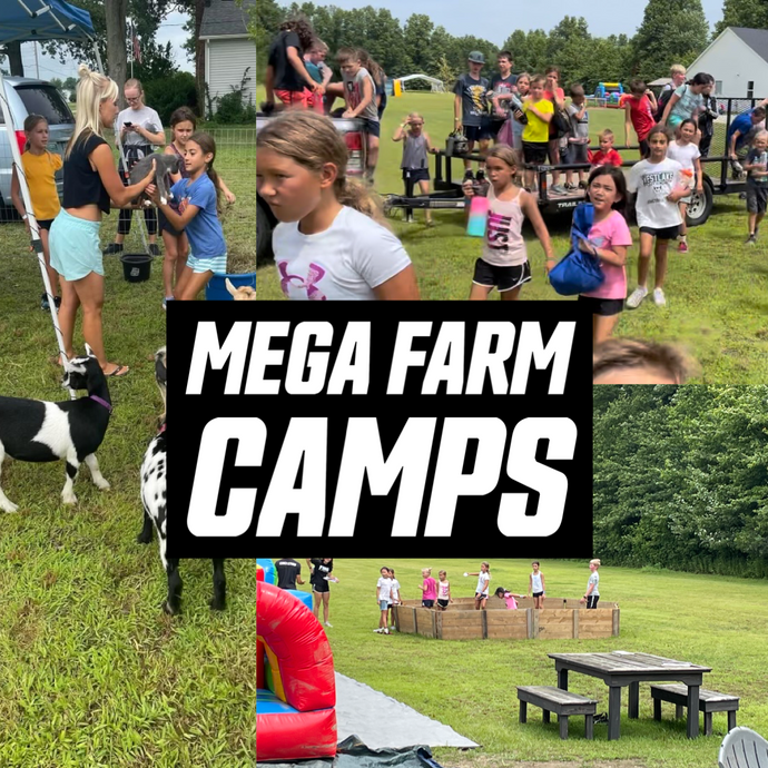 FMU Farm Summer Camp Ages 5-12 Tuesday/Thursday July 30th & August 1st 9:00am-1:00pm